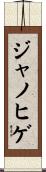 ジャノヒゲ Scroll