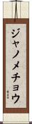 ジャノメチョウ Scroll