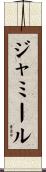 Jameel Scroll