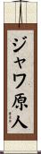 ジャワ原人 Scroll