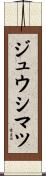 ジュウシマツ Scroll