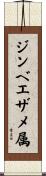 ジンベエザメ属 Scroll