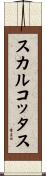 スカルコッタス Scroll