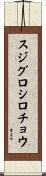 スジグロシロチョウ Scroll