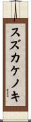 スズカケノキ Scroll