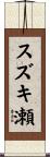 スズキ瀬 Scroll