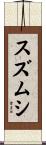 スズムシ Scroll