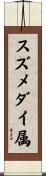スズメダイ属 Scroll