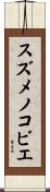スズメノコビエ Scroll