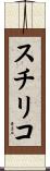 スチリコ Scroll