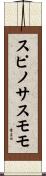 スピノサスモモ Scroll