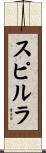 スピルラ Scroll