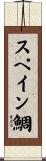 スペイン鯛 Scroll