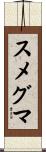 スメグマ Scroll
