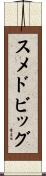 スメドビッグ Scroll