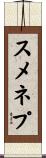 スメネプ Scroll