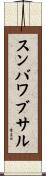 スンバワブサル Scroll