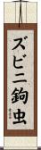 ズビニ鉤虫 Scroll