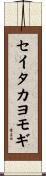 セイタカヨモギ Scroll