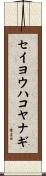 セイヨウハコヤナギ Scroll