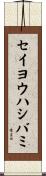 セイヨウハシバミ Scroll
