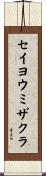 セイヨウミザクラ Scroll