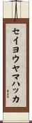 セイヨウヤマハッカ Scroll