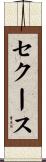 セクース Scroll