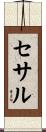 セサル Scroll