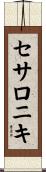 セサロニキ Scroll