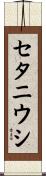 セタニウシ Scroll