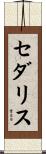 セダリス Scroll