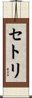 セトリ Scroll