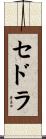 Sedra Scroll