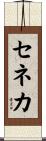セネカ Scroll