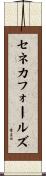 セネカフォールズ Scroll