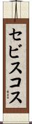 セビスコス Scroll