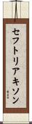 セフトリアキソン Scroll