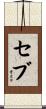 Seve Scroll