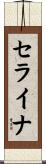 セライナ Scroll