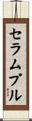 セラムプル Scroll