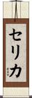 Celica Scroll