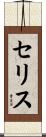 Celis Scroll