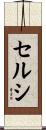 Celsi Scroll
