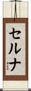 Cerna Scroll