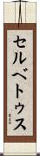 セルベトゥス Scroll