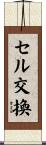 セル交換 Scroll