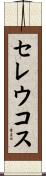セレウコス Scroll
