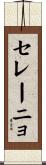 セレーニョ Scroll