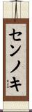 センノキ Scroll